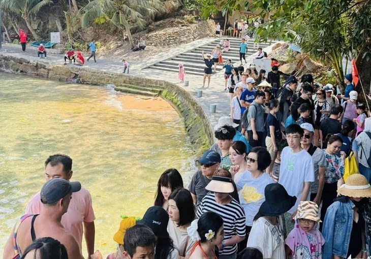 Khách Hàn Quốc du lịch, trải nghiệm tại Phú Quốc - Ảnh: CHÍ CÔNG
